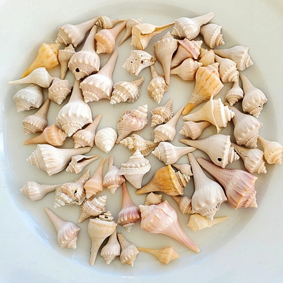 Meet your Posher, Marguerite - Picture 12 of 12